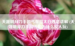 天涯明月刀手游丐帮打太白思路讲解 (天涯明月刀手游丐帮为什么没人玩)