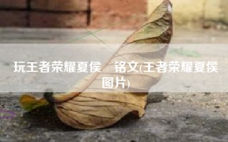 玩王者荣耀夏侯惇铭文(王者荣耀夏侯惇图片)