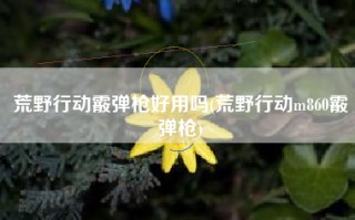 荒野行动霰弹枪好用吗(荒野行动m860霰弹枪)