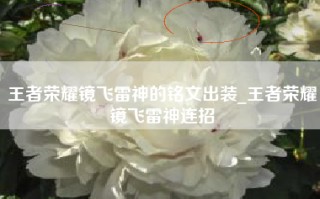 王者荣耀镜飞雷神的铭文出装_王者荣耀镜飞雷神连招