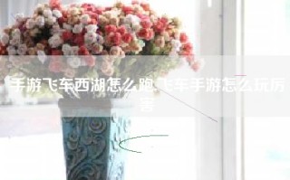 手游飞车西湖怎么跑,飞车手游怎么玩厉害