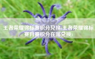 王者荣耀锦标赛积分兑换(王者荣耀锦标赛月赛积分在哪兑换)