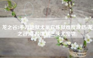 龙之谷2手游地狱犬巢穴炼狱难度攻略(龙之谷2手游地狱三头犬宠物)