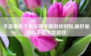 手游单机下载在哪下载游戏好玩,最好是可以下载大型游戏