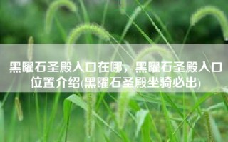黑曜石圣殿入口在哪，黑曜石圣殿入口位置介绍(黑曜石圣殿坐骑必出)