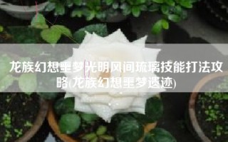 龙族幻想噩梦光明风间琉璃技能打法攻略(龙族幻想噩梦遗迹)