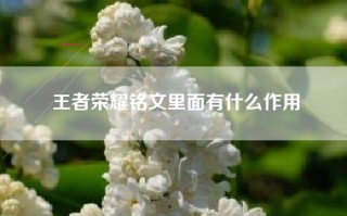 王者荣耀铭文里面有什么作用