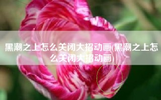 黑潮之上怎么关闭大招动画(黑潮之上怎么关闭大招动画)