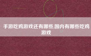 手游吃鸡游戏还有哪些,国内有哪些吃鸡游戏