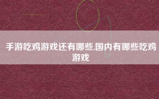 手游吃鸡游戏还有哪些,国内有哪些吃鸡游戏