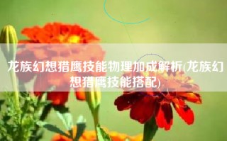 龙族幻想猎鹰技能物理加成解析(龙族幻想猎鹰技能搭配)