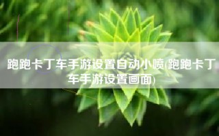 跑跑卡丁车手游设置自动小喷(跑跑卡丁车手游设置画面)