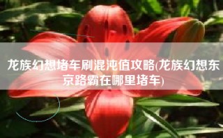 龙族幻想堵车刷混沌值攻略(龙族幻想东京路霸在哪里堵车)