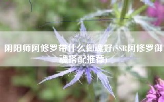 阴阳师阿修罗带什么御魂好(SSR阿修罗御魂搭配推荐)