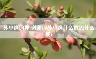 苏小洛的梗(谢谢你苏小洛什么意思什么梗)