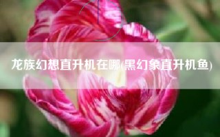 龙族幻想直升机在哪(黑幻象直升机鱼)