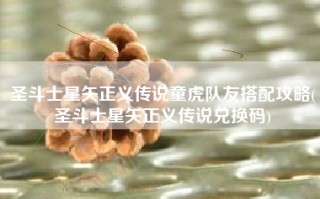 圣斗士星矢正义传说童虎队友搭配攻略(圣斗士星矢正义传说兑换码)