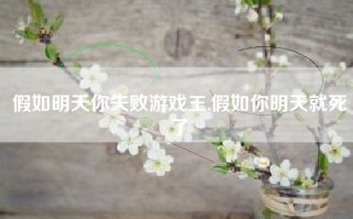 假如明天你失败游戏王,假如你明天就死了