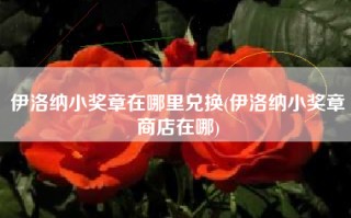 伊洛纳小奖章在哪里兑换(伊洛纳小奖章商店在哪)
