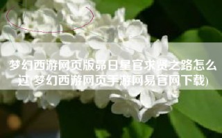 梦幻西游网页版昴日星官求贤之路怎么过(梦幻西游网页手游网易官网下载)
