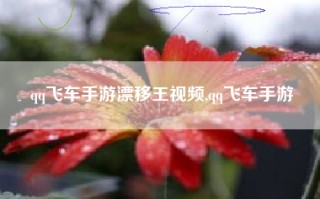 qq飞车手游漂移王视频,qq飞车手游