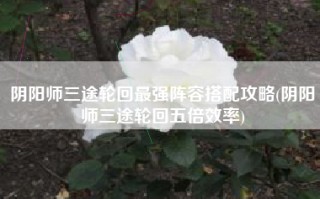 阴阳师三途轮回最强阵容搭配攻略(阴阳师三途轮回五倍效率)