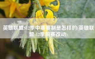英雄联盟S12季中赛赛制是怎样的(英雄联盟s12季前赛改动)