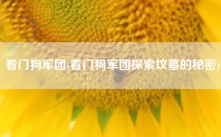 看门狗军团(看门狗军团探索坟墓的秘密)
