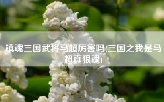 镇魂三国武将马超厉害吗(三国之我是马超真狼魂)
