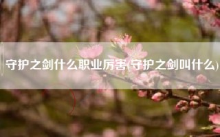 守护之剑什么职业厉害(守护之剑叫什么)