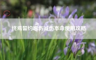 终焉誓约增伤减伤本命使用攻略