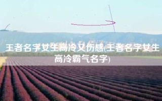 王者名字女生高冷又伤感(王者名字女生高冷霸气名字)