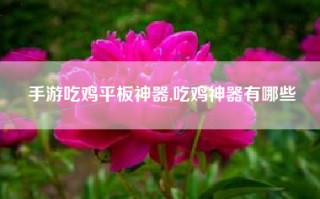 手游吃鸡平板神器,吃鸡神器有哪些