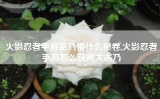 火影忍者手游至乃带什么秘卷,火影忍者手游怎么获得大志乃