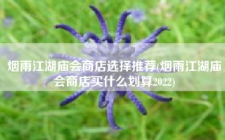 烟雨江湖庙会商店选择推荐(烟雨江湖庙会商店买什么划算2022)