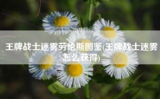 王牌战士迷雾劳伦斯图鉴(王牌战士迷雾怎么获得)