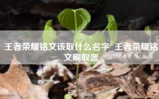 王者荣耀铭文该取什么名字_王者荣耀铭文刷取器