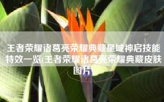 王者荣耀诸葛亮荣耀典藏星域神启技能特效一览(王者荣耀诸葛亮荣耀典藏皮肤图片)