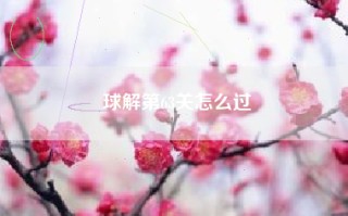 球解第63关怎么过