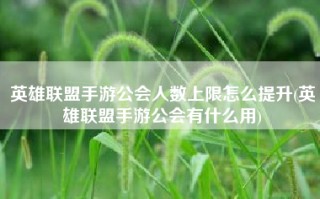 英雄联盟手游公会人数上限怎么提升(英雄联盟手游公会有什么用)