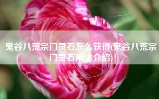 鬼谷八荒宗门灵石怎么获得(鬼谷八荒宗门灵石用途介绍)