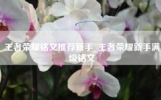 王者荣耀铭文推荐新手_王者荣耀新手满级铭文