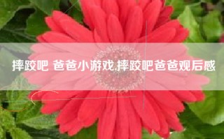 摔跤吧 爸爸小游戏,摔跤吧爸爸观后感