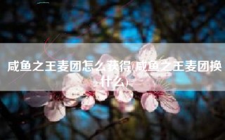 咸鱼之王麦团怎么获得(咸鱼之王麦团换什么)