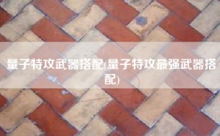 量子特攻武器搭配(量子特攻最强武器搭配)