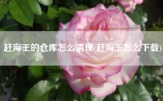 赶海王的仓库怎么清理(赶海王怎么下载)