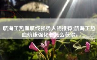航海王热血航线强势人物推荐(航海王热血航线强化卡怎么获得)