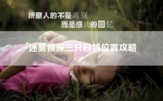 迷雾侦探三只白鸽位置攻略