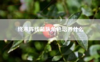 终末阵线蓝队角色培养什么