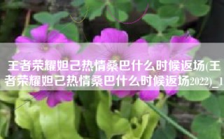 王者荣耀妲己热情桑巴什么时候返场(王者荣耀妲己热情桑巴什么时候返场2022)_1